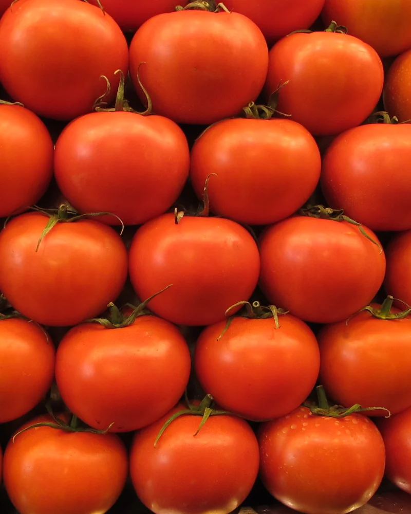 Tomato
