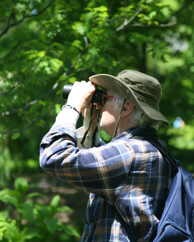 Birdwatching