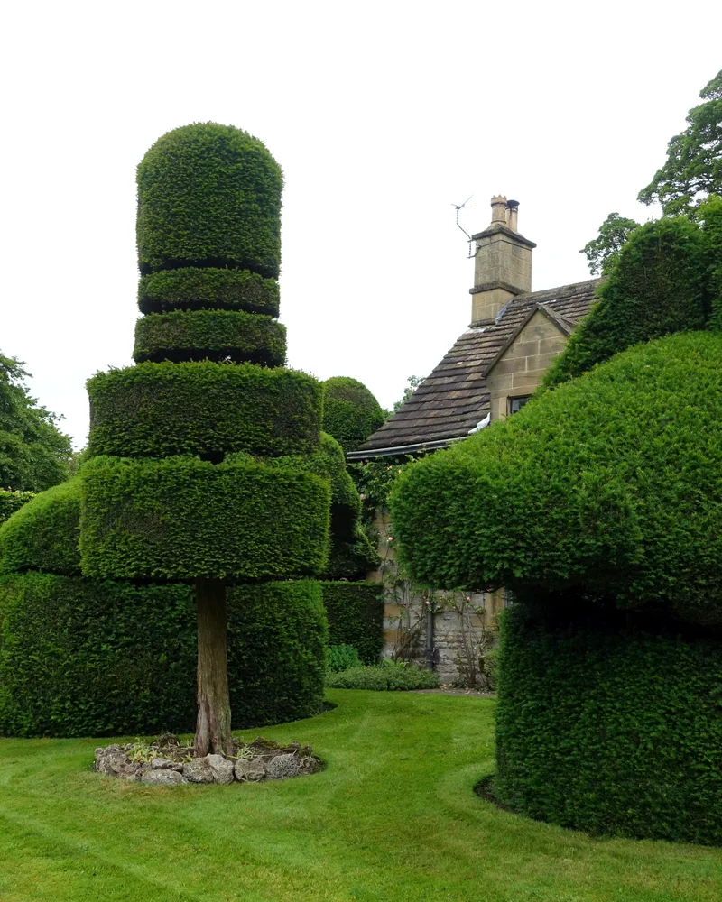 Topiary