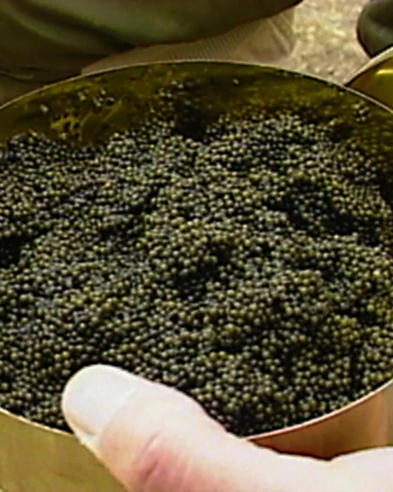Caviar