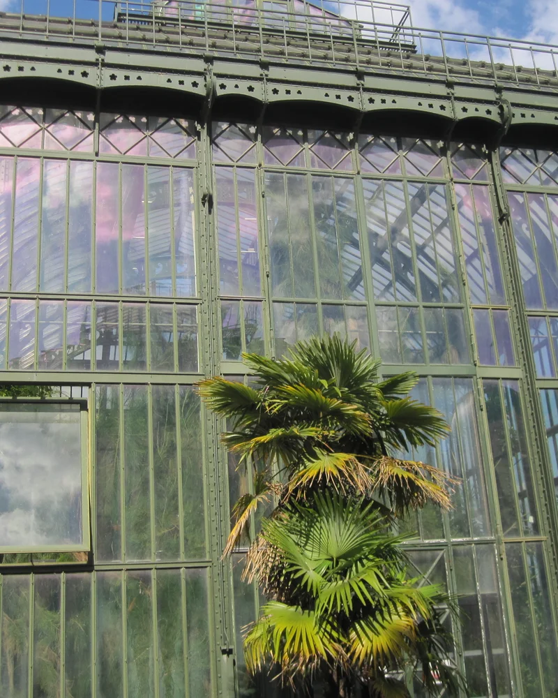 Greenhouse