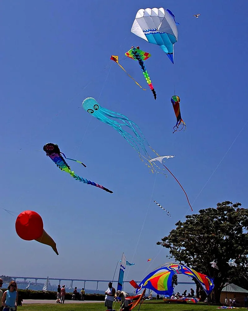 Kite