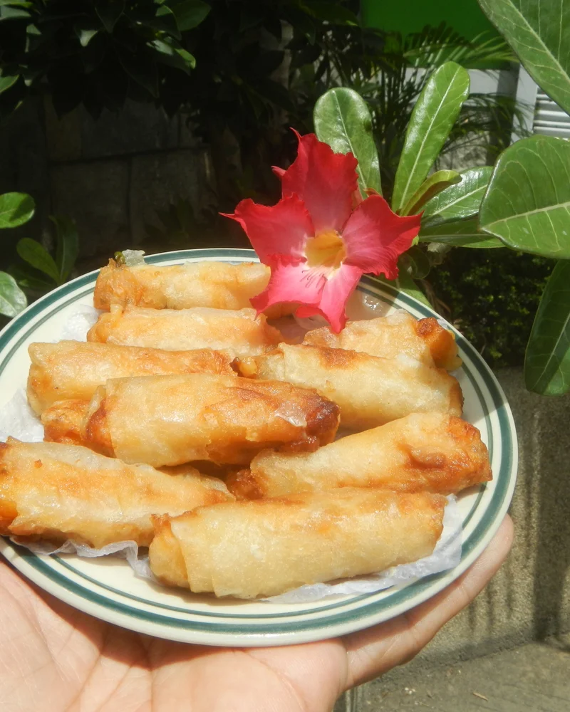 Spring Roll