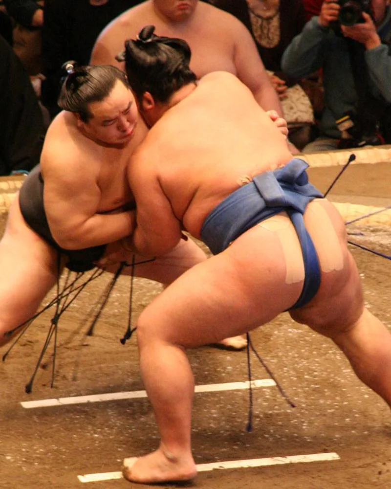 Sumo