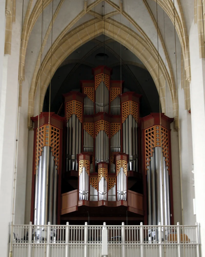 Organ
