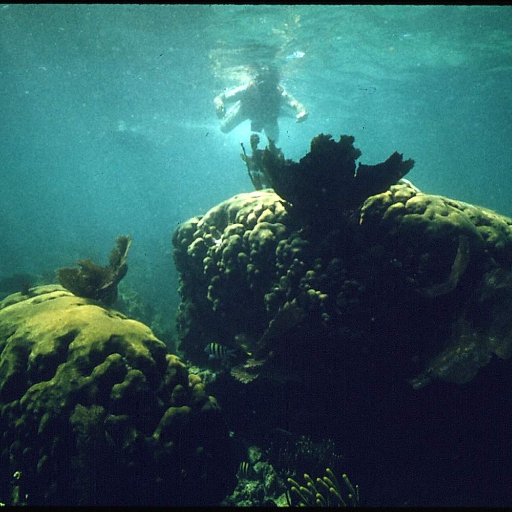 Photo B